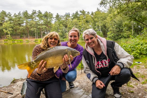 Visvrouwen Brabantse Boskarpers HRES 83615