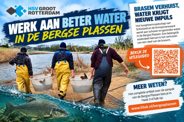 BrasemBergseplassen615