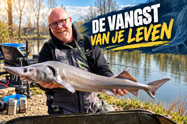 devangstvanjeleven2615